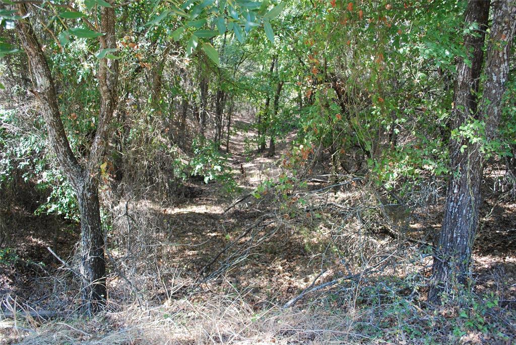 17157 Woodway Drive - Photo 11