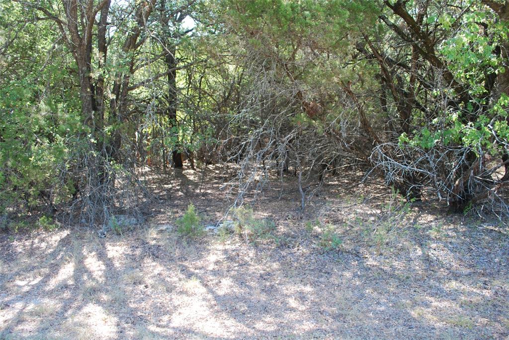 17157 Woodway Drive - Photo 3