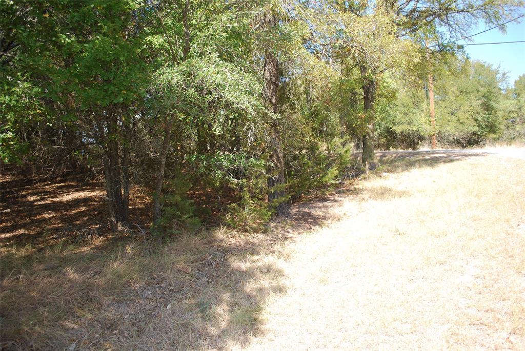 17157 Woodway Drive - Photo 6