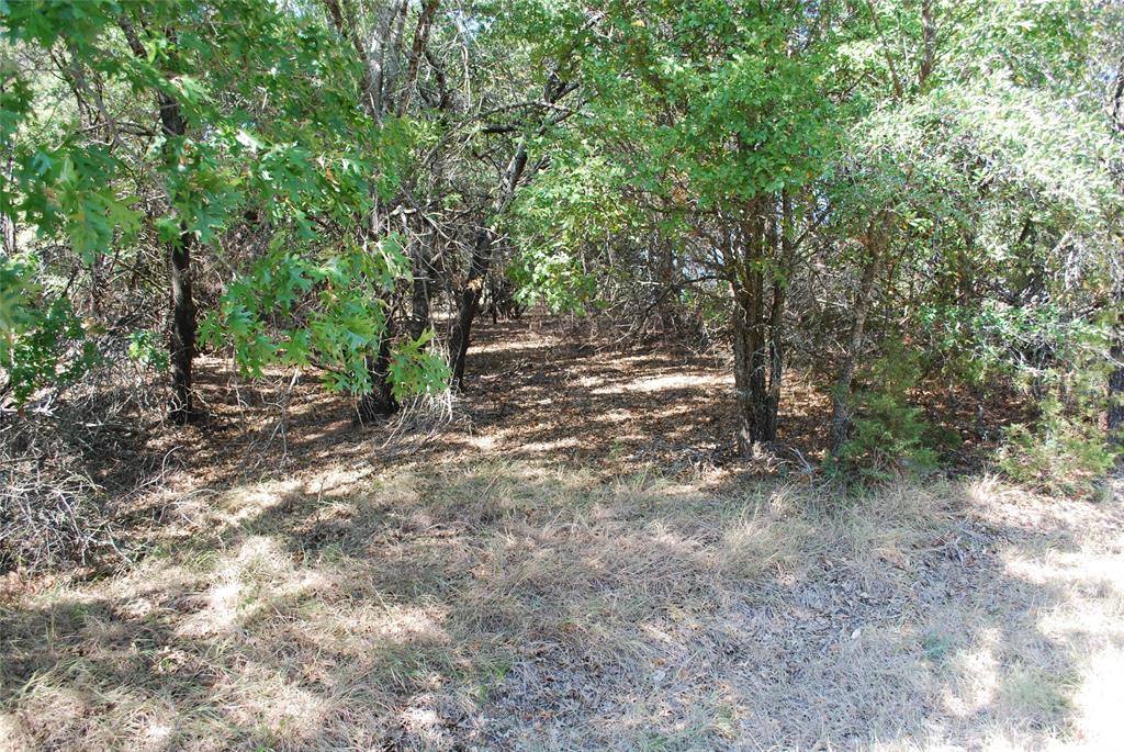 17157 Woodway Drive - Photo 7