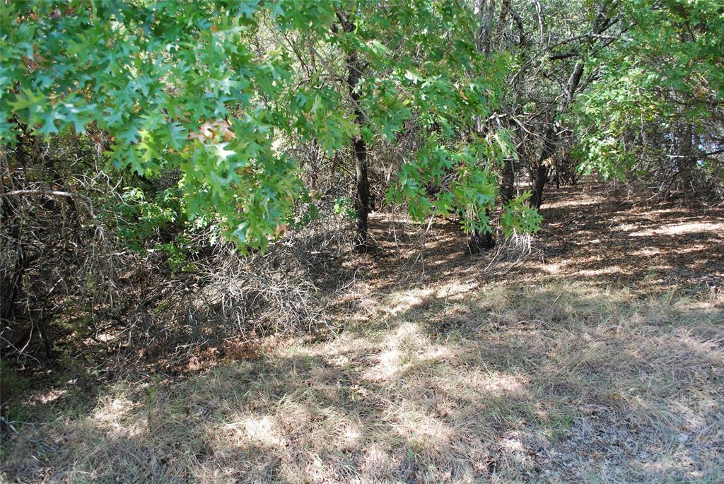 17157 Woodway Drive - Photo 9