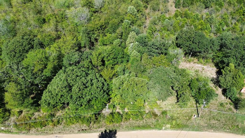 Lot 2 W Quanah Road - Photo 4
