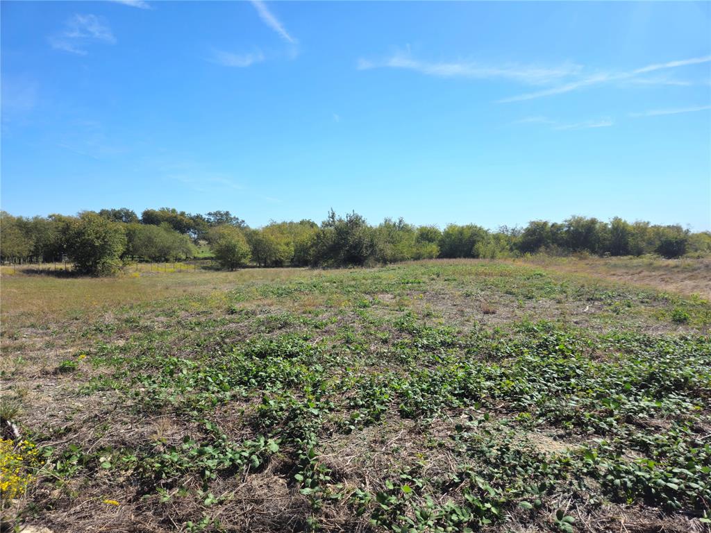 22 Longview Creek Trail - Photo 1