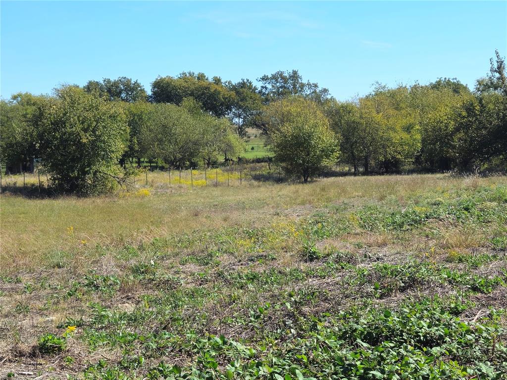22 Longview Creek Trail - Photo 10