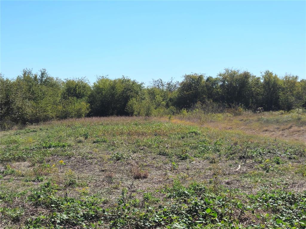 22 Longview Creek Trail - Photo 11