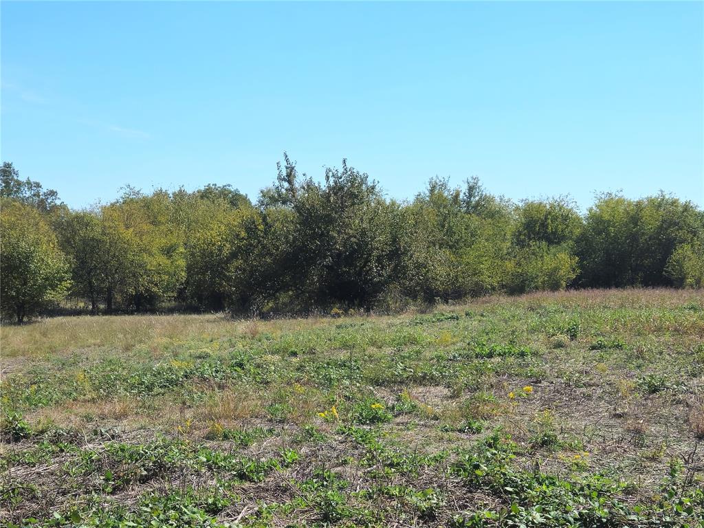 22 Longview Creek Trail - Photo 12