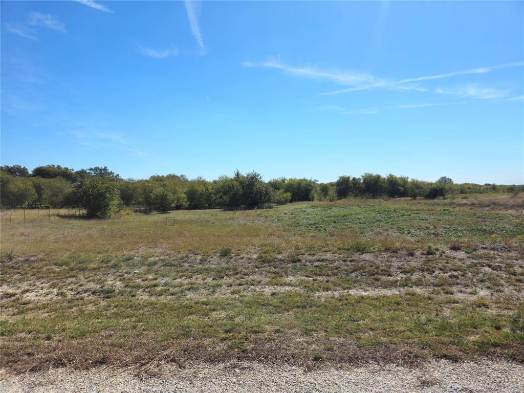 22 Longview Creek Trail - Photo 4