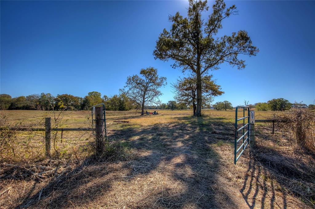 TBD Tract A County Road 1468 - Photo 2