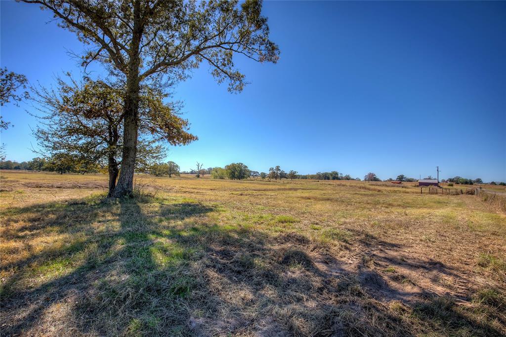 TBD Tract A County Road 1468 - Photo 3