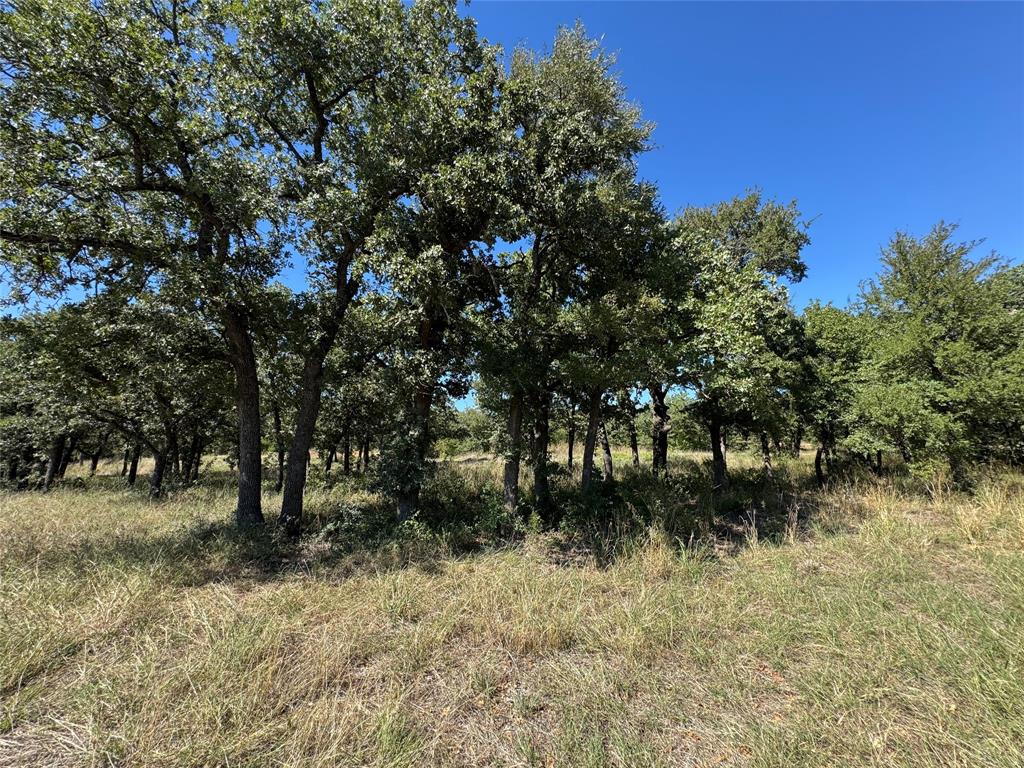 395 Hilltop Drive - Photo 1