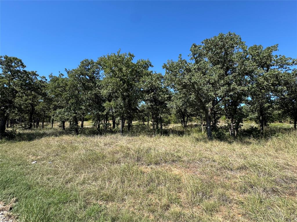 395 Hilltop Drive - Photo 3