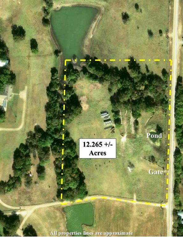 2795 Fm 896 Highway - Photo 1