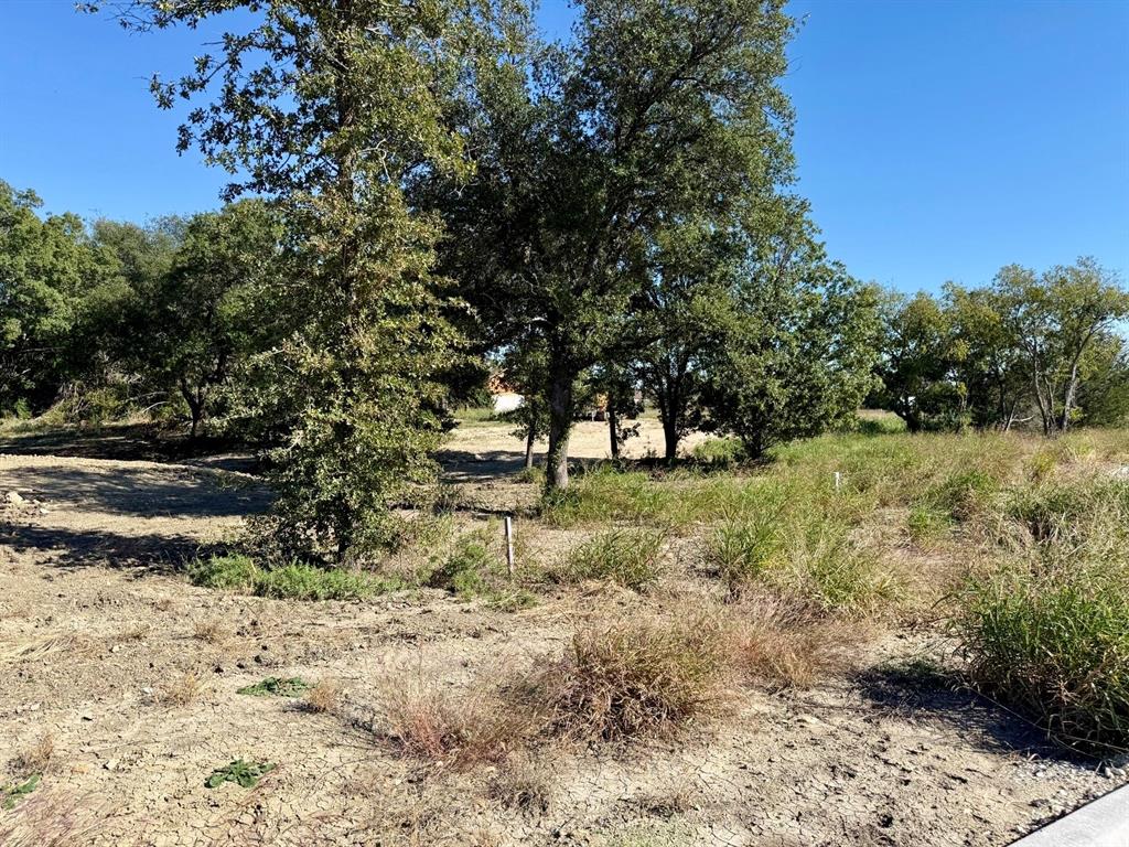 TBD Piper Oaks Lane - Photo 18