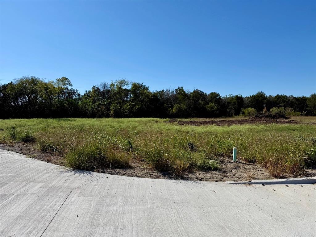 TBD Piper Oaks Lane - Photo 6