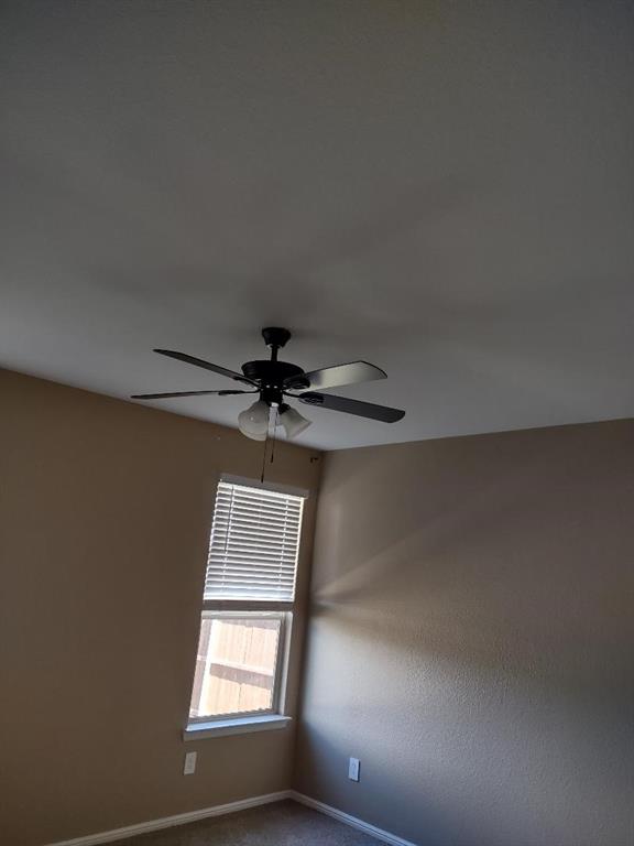 109 Blossom Trail - Photo 31
