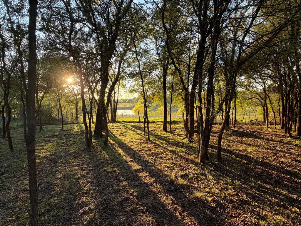 570 County Road 4856 - Photo 2