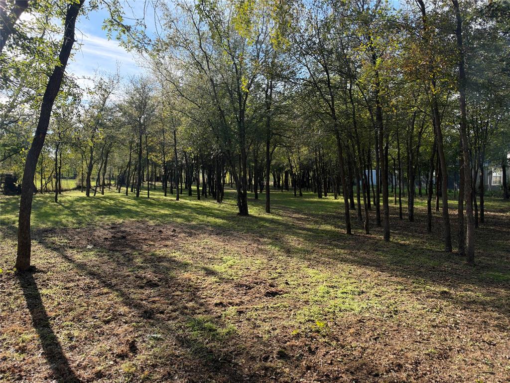 570 County Road 4856 - Photo 4