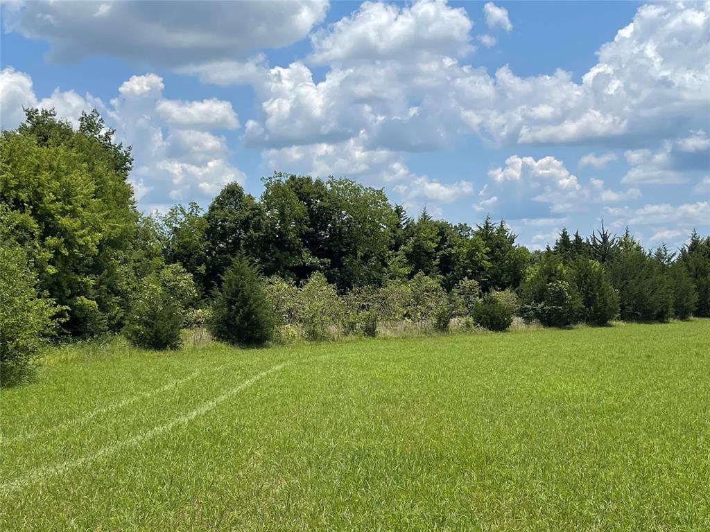1355 County Road 4719 - Photo 3