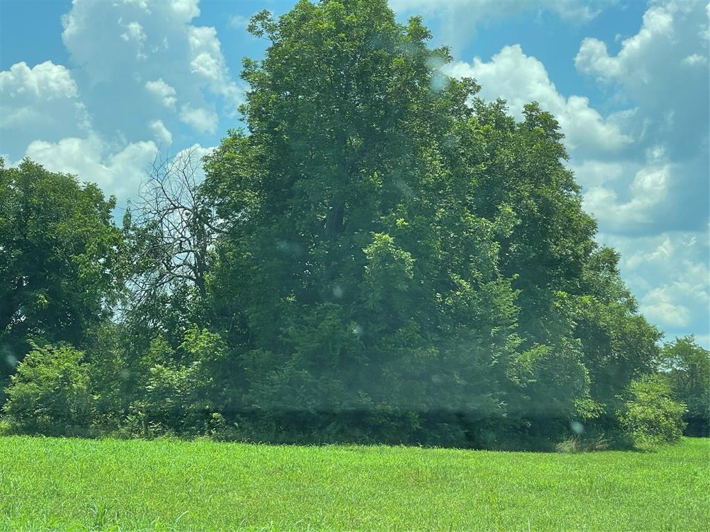 1355 County Road 4719 - Photo 4