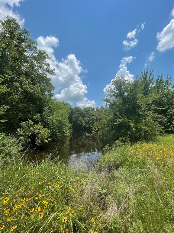 1355 County Road 4719 - Photo 8