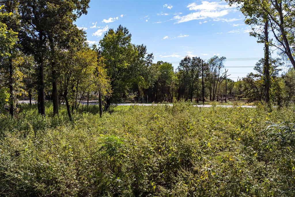 0 274 Highway - Photo 5