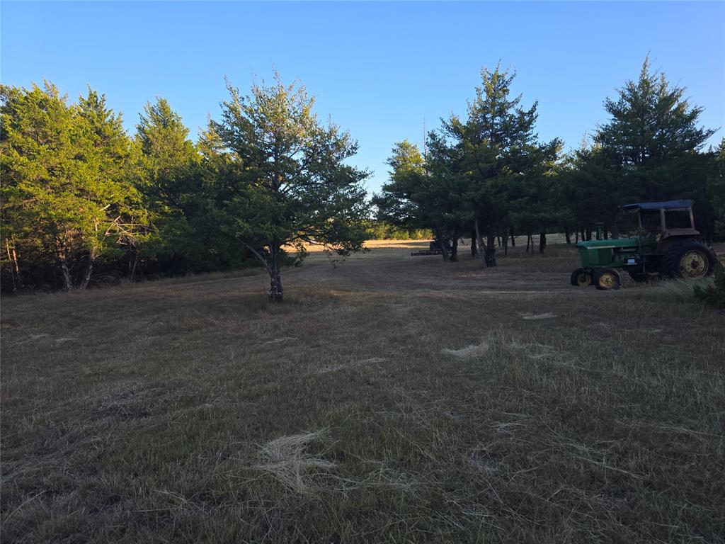 TBD 29.5Acres Tract 2 County Rd 36000 - Photo 20