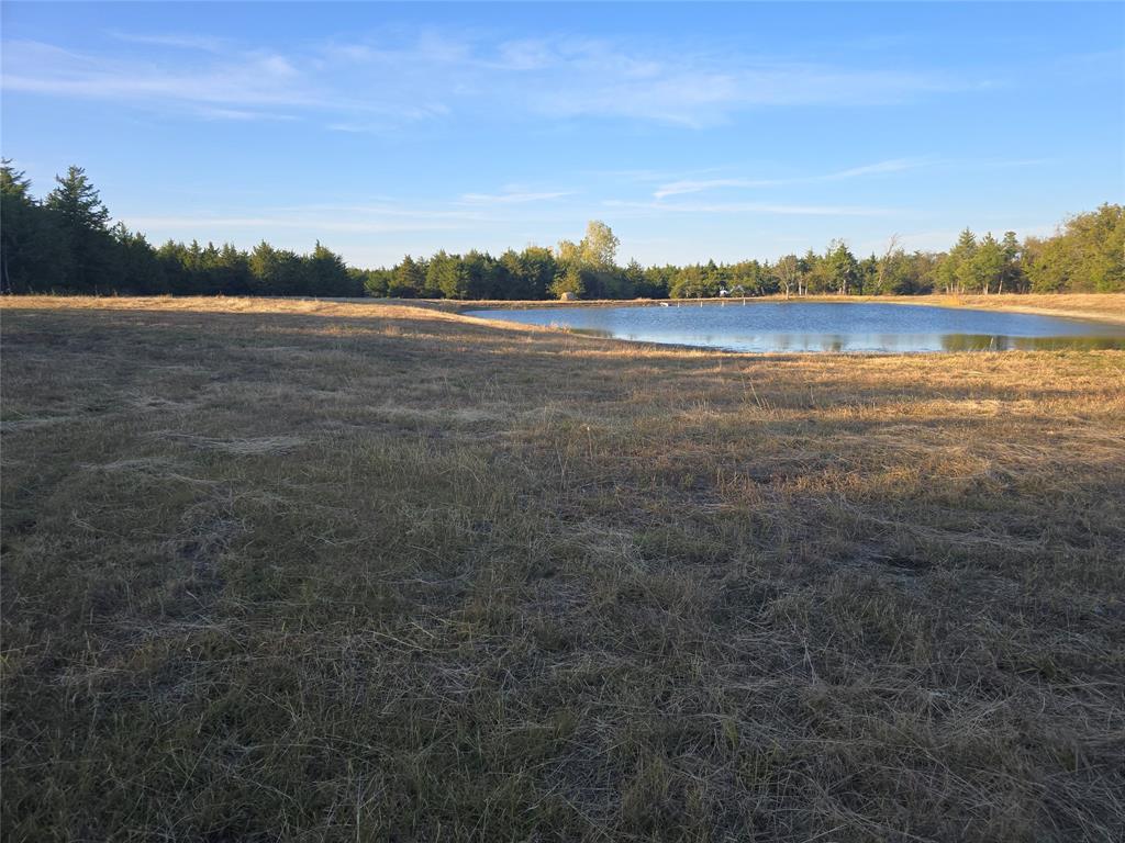TBD 29.5Acres Tract 2 County Rd 36000 - Photo 22