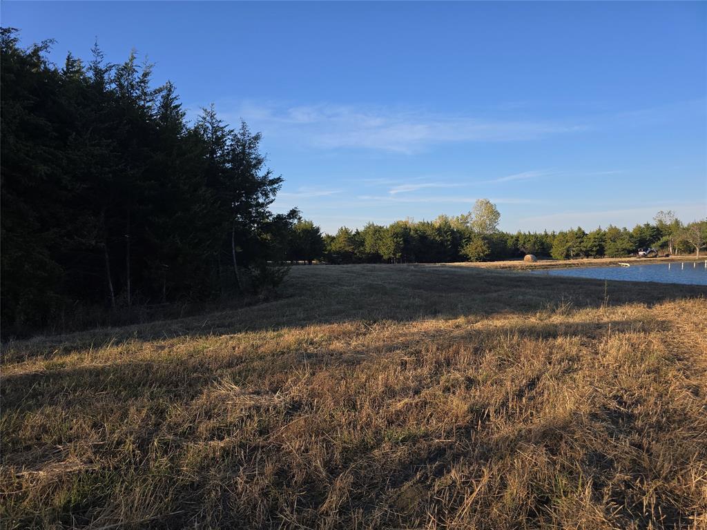 TBD 29.5Acres Tract 2 County Rd 36000 - Photo 29