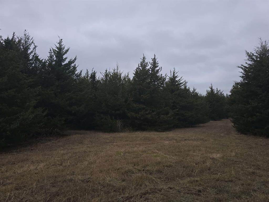 TBD 29.5Acres Tract 2 County Rd 36000 - Photo 8