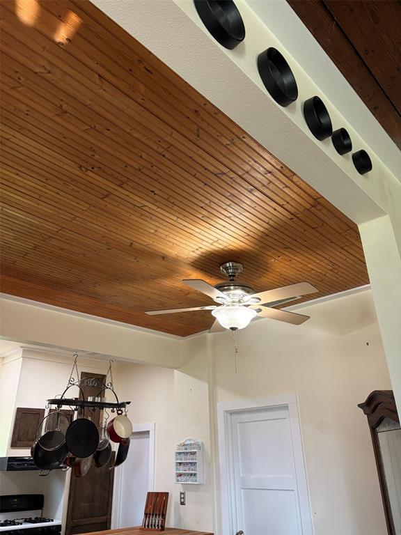 10809 Fm 2450 - Photo 11