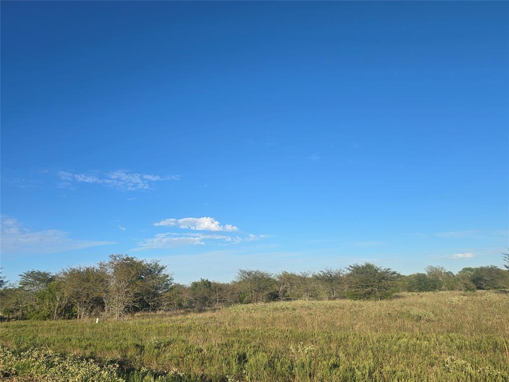 1717 Channing Lane - Photo 2