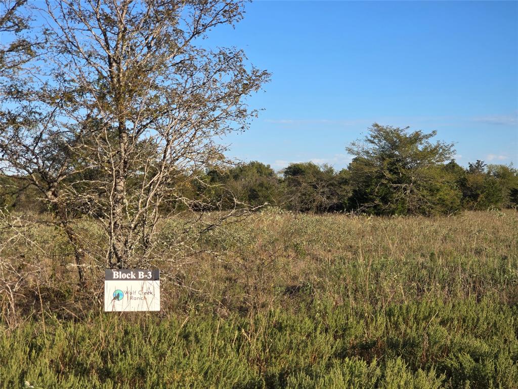 1717 Channing Lane - Photo 3