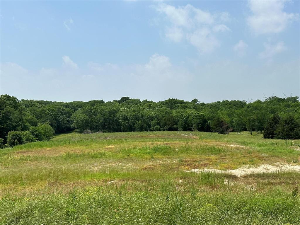 1829 Old Millwood Road - Photo 1