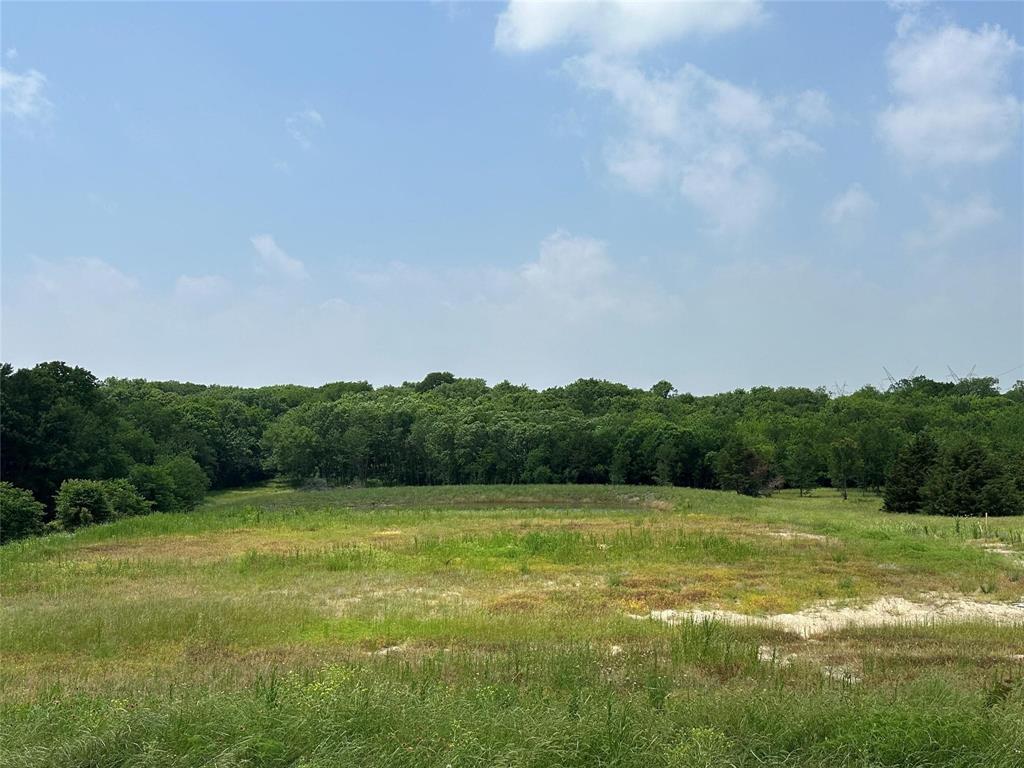 1829 Old Millwood Road - Photo 3