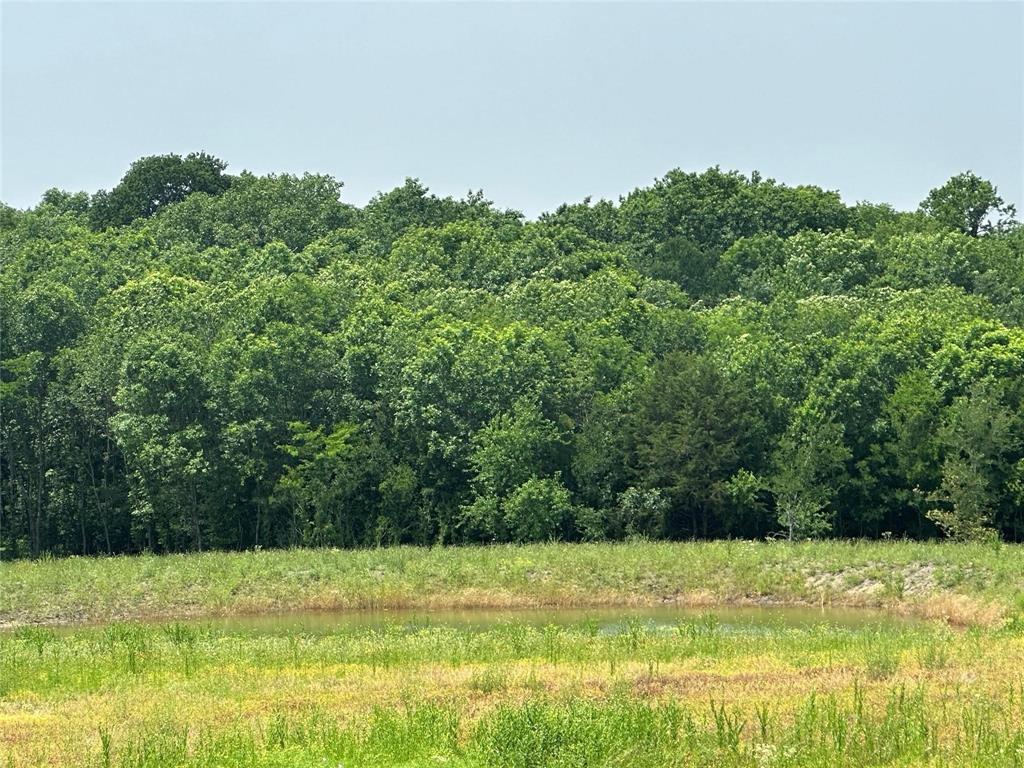 1829 Old Millwood Road - Photo 4