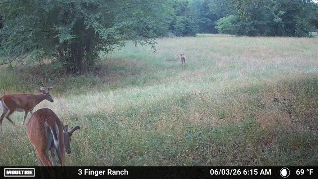 0 Pvt Rd 5209 - Photo 16