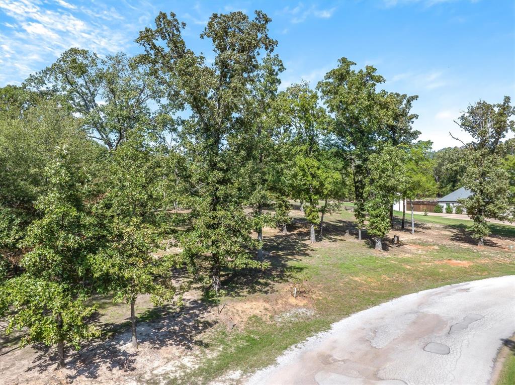 Lot 29A Private Road 7017 - Photo 7