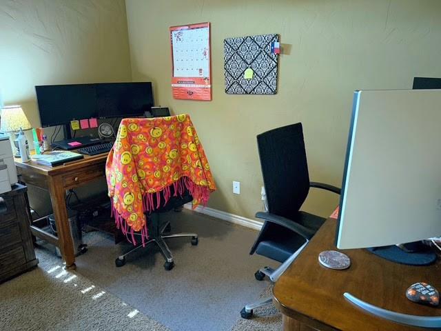 508 Lopez Drive - Photo 12