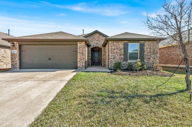 1996 Ocelot Street