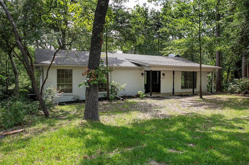 431 Lone Star Lane - Photo 30