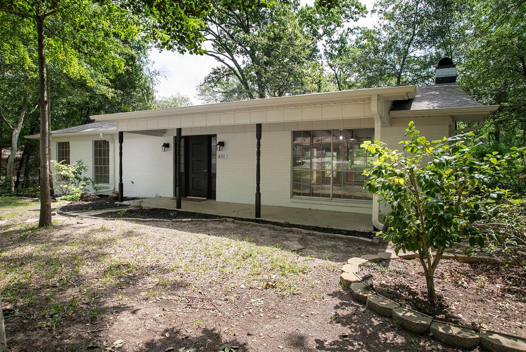 431 Lone Star Lane - Photo 32