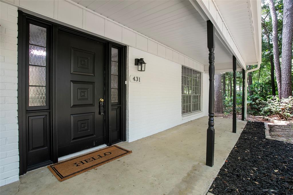 431 Lone Star Lane - Photo 33