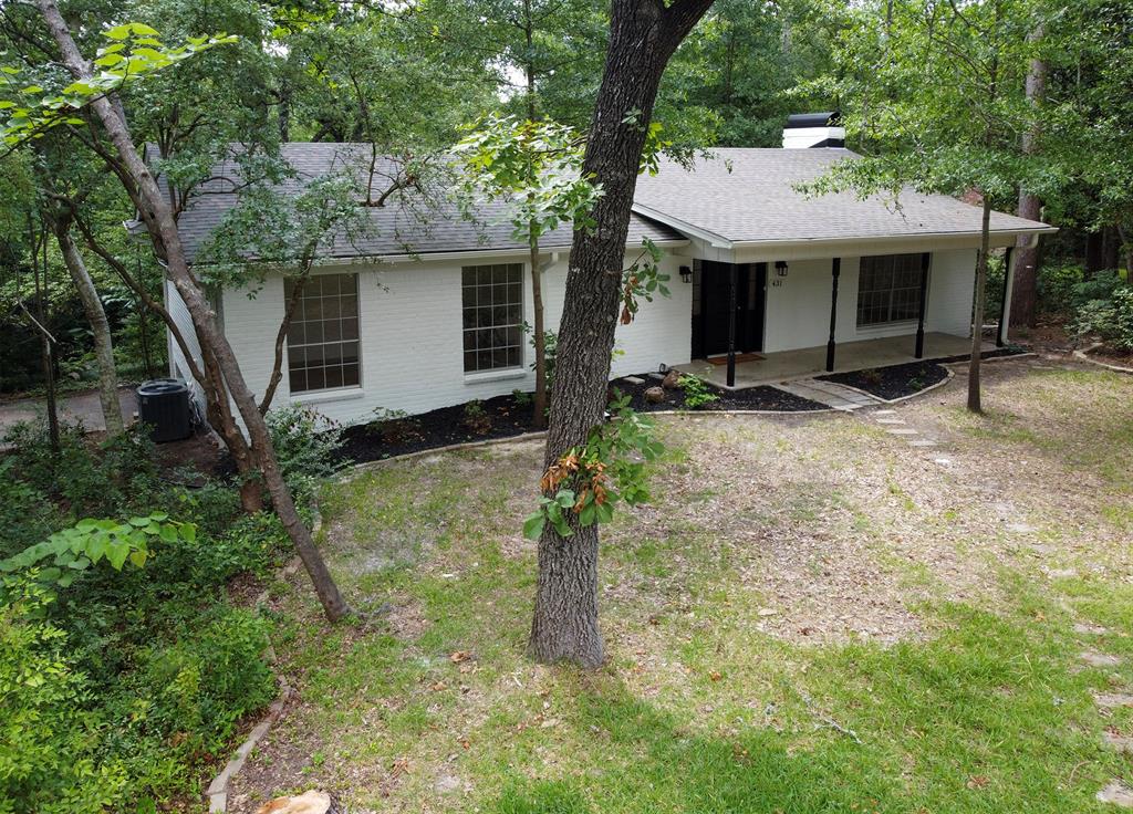 431 Lone Star Lane - Photo 35