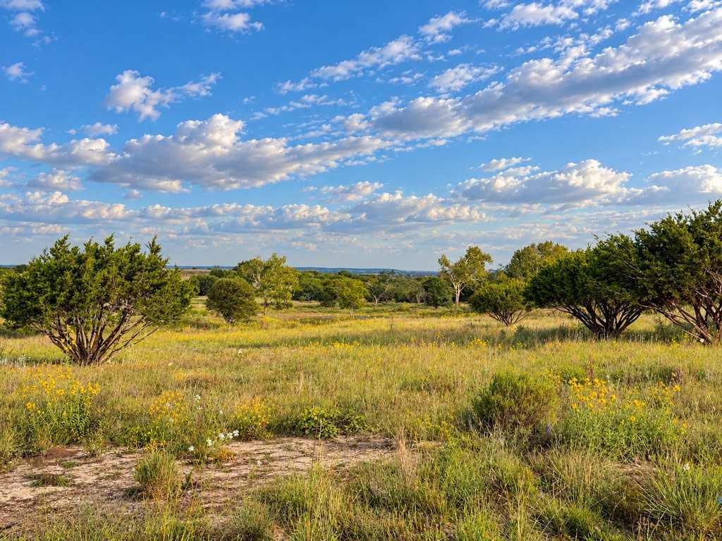 4594 FM 1783 - Photo 29