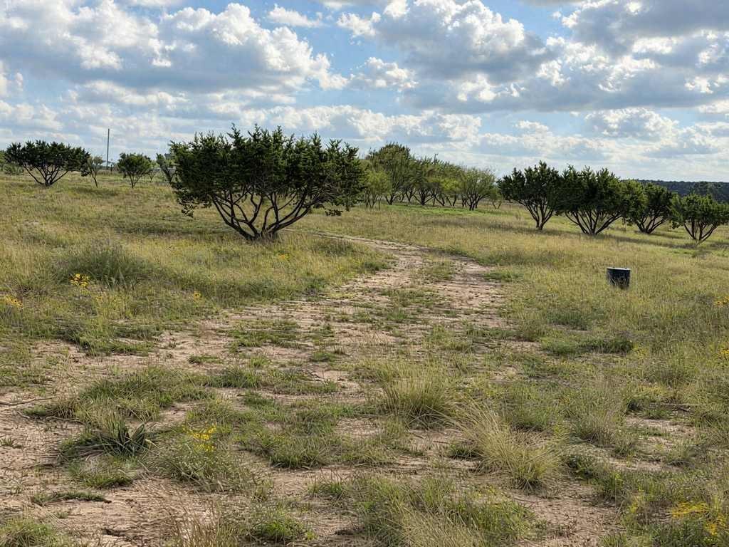 4594 FM 1783 - Photo 31
