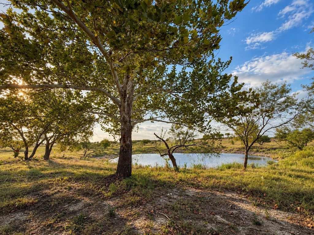 4594 FM 1783 - Photo 6