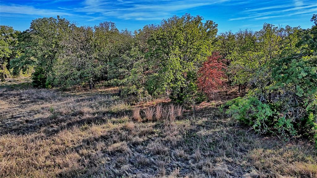 Lot 77 Red Oak Hills Road - Photo 11