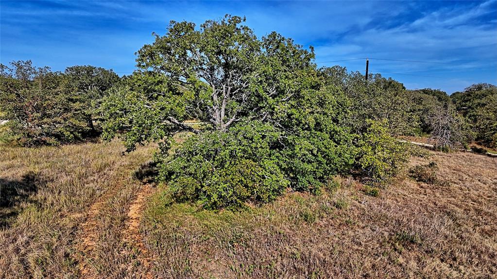 Lot 77 Red Oak Hills Road - Photo 12