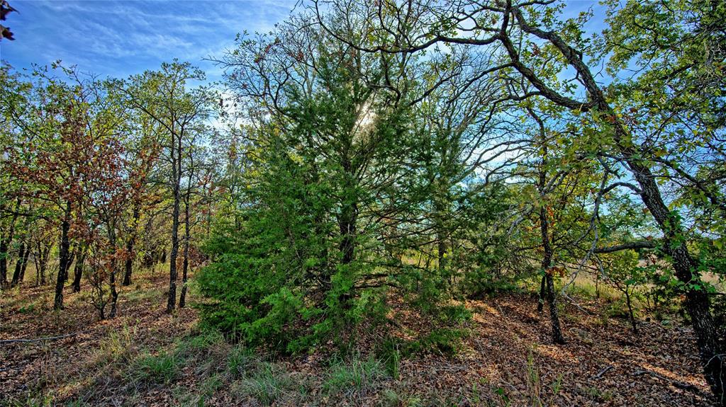 Lot 77 Red Oak Hills Road - Photo 15