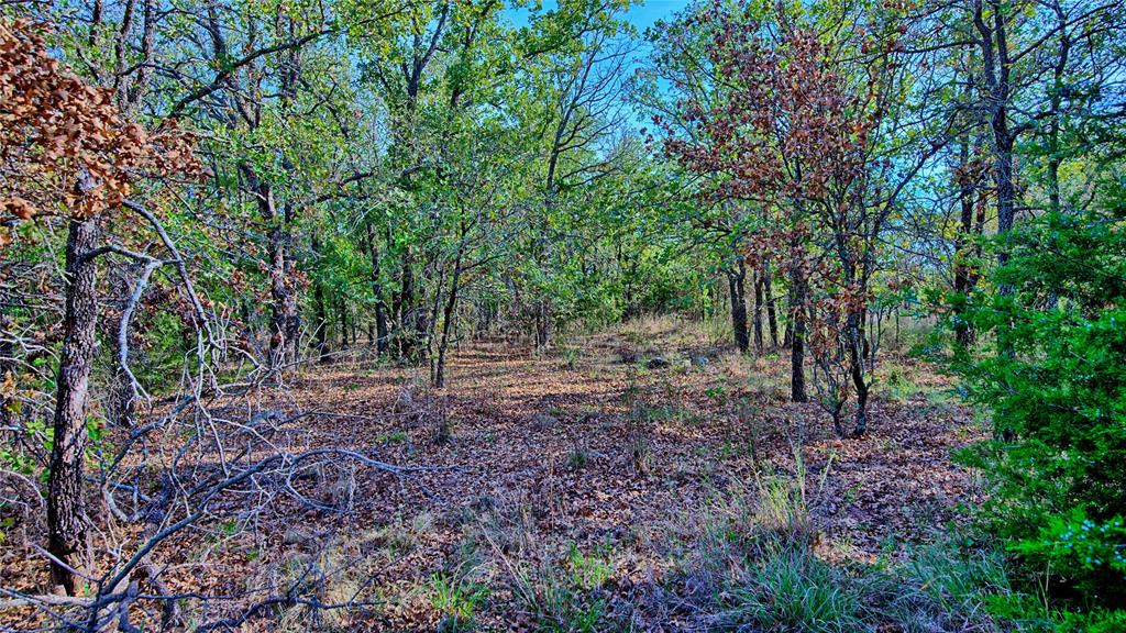 Lot 77 Red Oak Hills Road - Photo 23